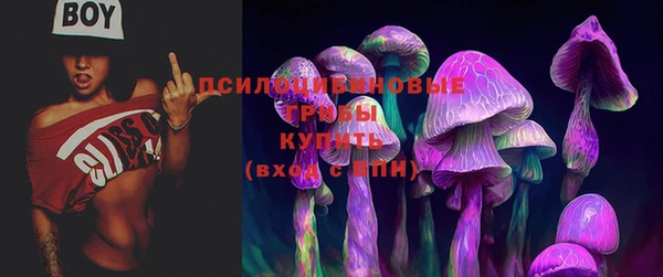 МДПВ Алзамай