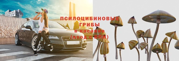 стафф Алексеевка