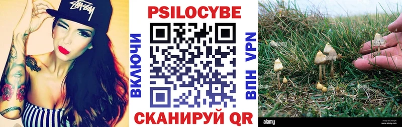 Псилоцибиновые грибы Cubensis  Томск 